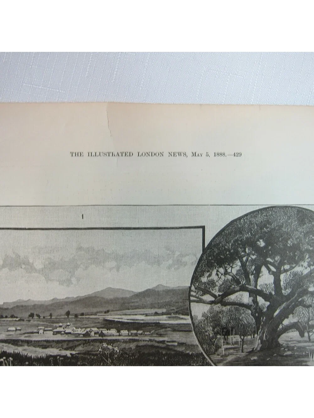 Antique 1888 Print Views in Lower California San Rafael Valley Las Animas Canyon
